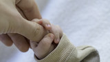 Fototapeta  - Tiny hand of son hold big finger of dad