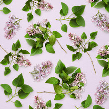 Lilac Flowers And Leaves