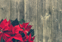 Christmas Card With Decoration, Christmas Poinsettia Red Flower On Wooden Background