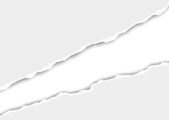 Wall Mural - Ripped long hole in sheet of white paper. Vector template paper design.