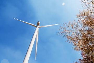 Wall Mural - concept idea eco power energy. wind turbine on hill with sun