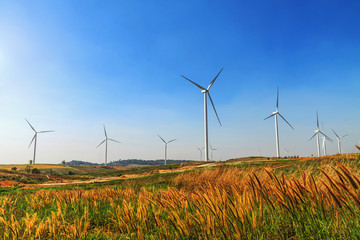 Wall Mural - wind turbines on the hill with blue sky background