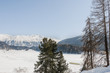 St. Moritz, St. Moritzersee, Engadin, Oberengadin, Eisfläche, Alpen, Winter, Wintersport, Stazerwald, Graubünden, Winterwanderweg, Schweiz 