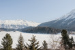 Pontresina, St. Moritz, Moritzersee, Engadin, Oberengadin, Stazerwald, Winter, Wintersport, Alpen, Graubünden, Piz Languard, Schafberg, Schweiz