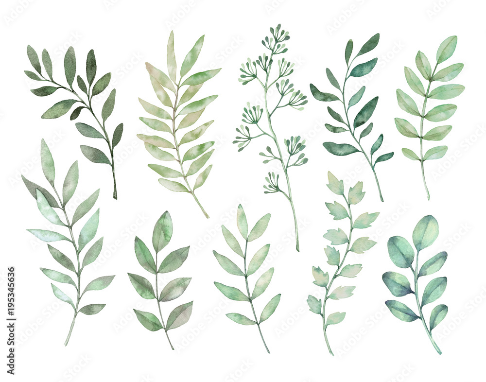 Hand drawn watercolor illustrations. Botanical clipart. Set of Green leaves, herbs and branches. Floral Design elements. Perfect for wedding invitations, greeting cards, blogs, posters and more - obrazy, fototapety, plakaty 