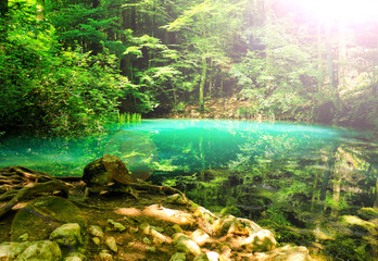 Canvas Print - River source in the mountainous forest