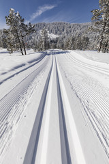 Wall Mural - Cross-country ski trail on a beautiful winter day in Switzerland