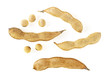 Soybean pods and beans on white background, top view