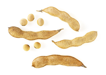 Wall Mural - Soybean pods and beans on white background, top view