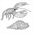 Cancer and shell, illustration for coloring, coloring page