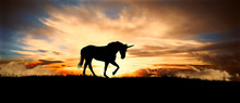 Unicorn Silhouette At Sunset
