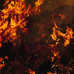 Poster - fire background