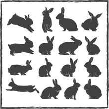 Rabbit Silhouette Vector Set