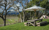 Fototapeta  - An Umbrella Shades a Picnic Table with a Killer View of a California Vineyard