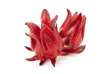 Red Roselle Isolated