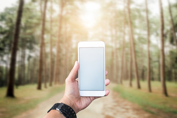 Business conceptual- Focused on left hand holding mobile with blank screen and nature blurred background