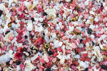 Close Up Of Pieces Of Coral And Shells