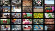Video Wall Montage Industrial Production. People Working In A Factory, Construction, Agriculture, Food Industry, Fossil Fuels, Cereals, Fruits And Vegetables, Farm Animal, Time Lapse