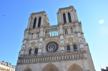 Wall Mural - Notre Dame