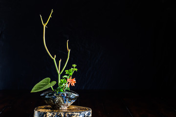 Japanese style flower arrangement ikebana on tree trunk.