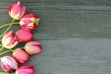 Fototapeta Kwiaty - Colorful tulips bouquet on wooden background. Top view with space for your text