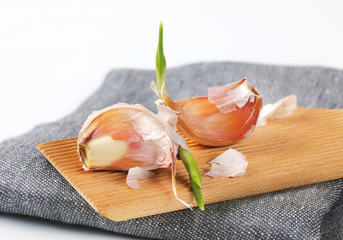 Poster - cloves of fresh garlic