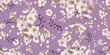Floral seamless pattern with spring flowers. Background for textile, manufacturing, book covers, wallpapers, print or gift wrap. Flowering branches on a lilac background. Vector illustration.