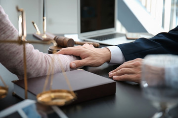 Wall Mural - Lawyer having meeting with client in office, closeup