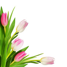 Pink Tulip Flowers In A Corner Arrangement