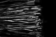Rigid Wire Brush Macro, Black And White Photo
