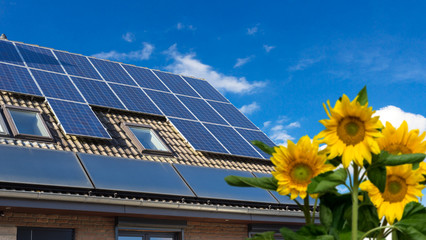 Wall Mural - house with solar panels on the roof