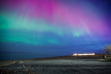 Wall Mural - islanda, aurora boreale