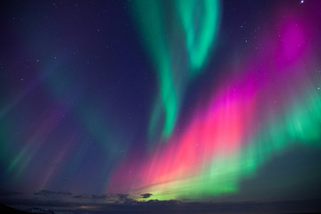 Wall Mural - islanda, aurora boreale