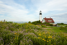 Maine's Oldest Lighthouse Among Summer Wildflowers