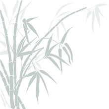 Bamboo. Vector Silhouette Of Bamboo. Silhouette Bamboo Gray Colors Isolated On White.