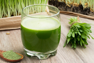 Wall Mural - A glass of barley grass juice with young barley grass and powder