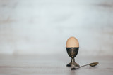 Fototapeta  - egg in the pastern on a light