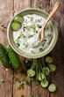 Indian spicy sauce raita with herbs and cucumber close-up in a bowl. Vertical top view