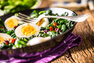 Spinach Salad. Fresh spinach salad with eggs chili pepper and sweet cranberries.