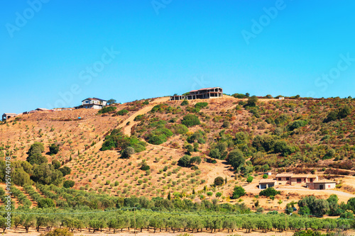 Fotografie, Obraz Agricultural scenery of Carbonia Iglesias Sardinia
