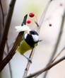 © elmina - Great tit biting pork lard on the apple tree branch. A bird with a yellow belly and a black and white head eats in the wild. The concept of nutrition in the animal world. Vertical image.