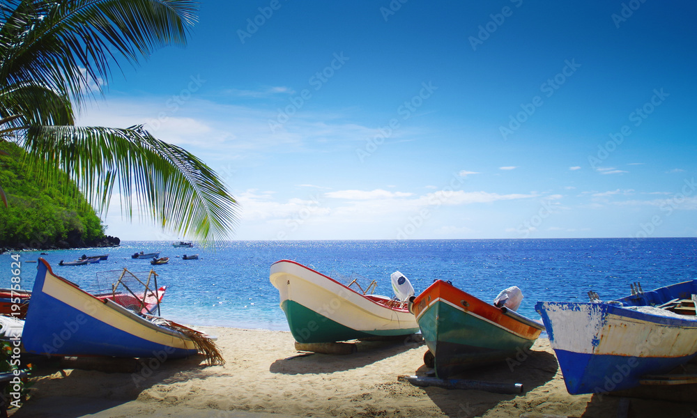 Plage, palmier et bateaux face à la mer des caraïbes. Paysage de la Martinique - obrazy, fototapety, plakaty 