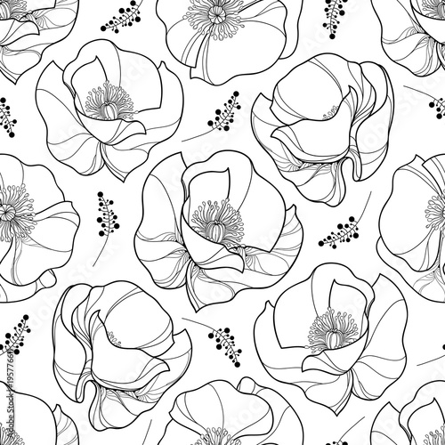 Free Free 289 Poppy Flower Outline Svg SVG PNG EPS DXF File