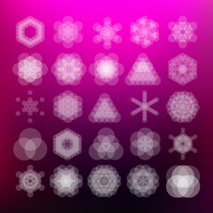 Wall Mural - vector computer generated pattern flower of life mandala symbol fractals - generative art set - logo