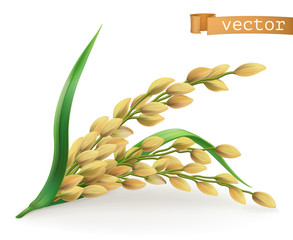 Poster - Rice. 3d vector icon