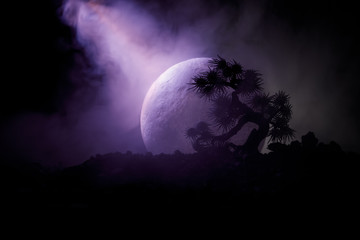 silhouette tree on full moon background. full moon rising above japanese style tree against toned fo