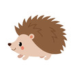 Adorable hedgehog in modern flat style. Vector.