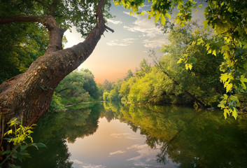 Wall Mural - evening on the river