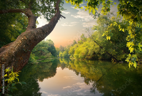Evening on the river