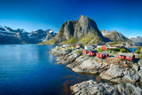 Fototapeta  - The village of Reine under a sunny, blue sky, with the typical red rorbu houses.